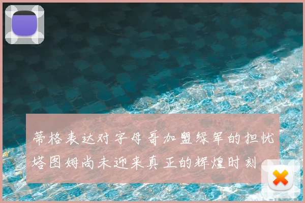 蒂格表达对字母哥加盟绿军的担忧塔图姆尚未迎来真正的辉煌时刻