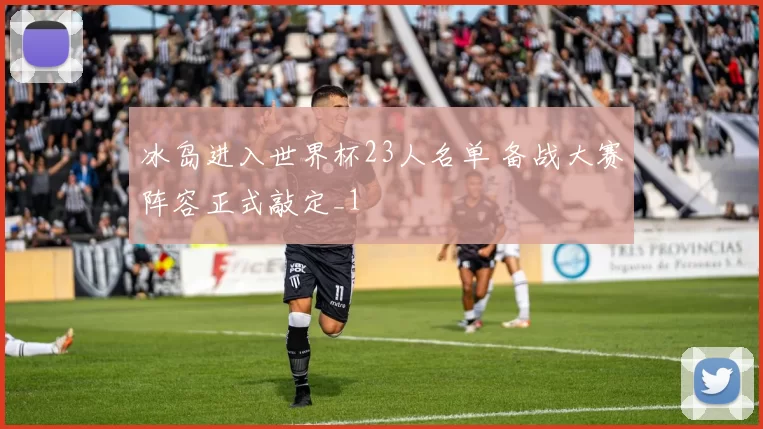 冰岛进入世界杯23人名单 备战大赛阵容正式敲定_1