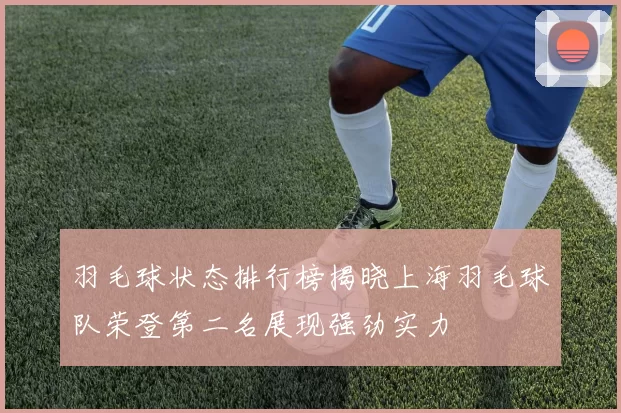 羽毛球状态排行榜揭晓上海羽毛球队荣登第二名展现强劲实力