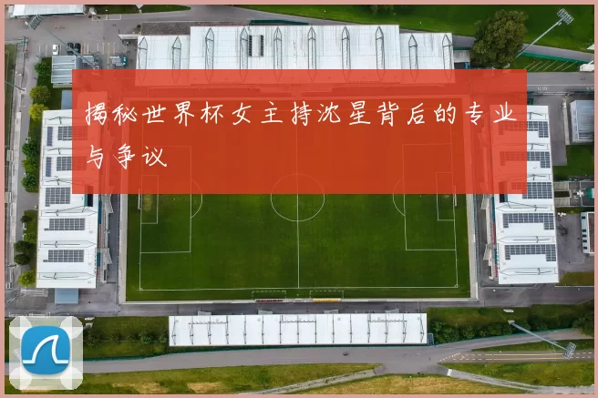 揭秘世界杯女主持沈星背后的专业与争议
