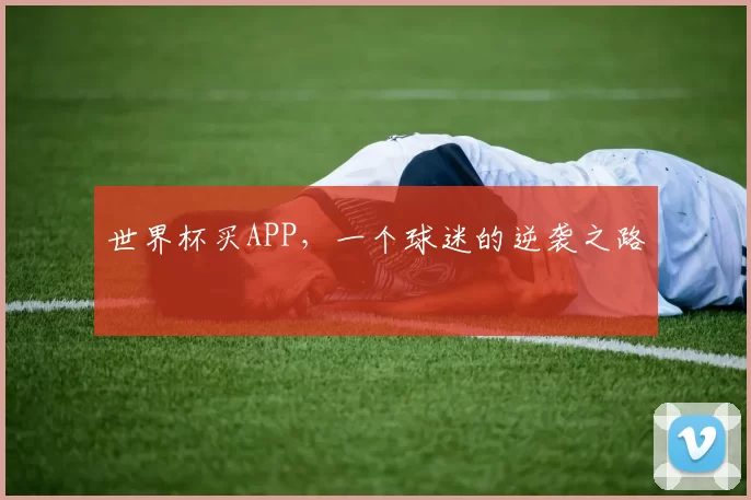 世界杯买APP，一个球迷的逆袭之路