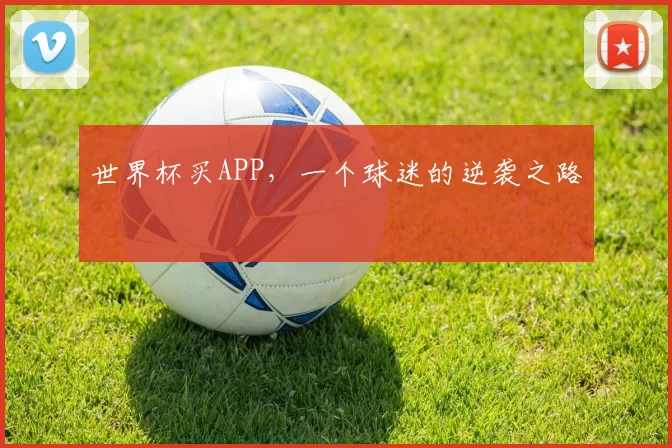 世界杯买APP,一个球迷的逆袭之路