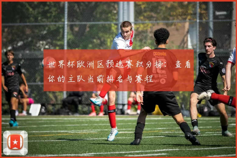 世界杯欧洲区预选赛积分榜：查看你的主队当前排名与赛程