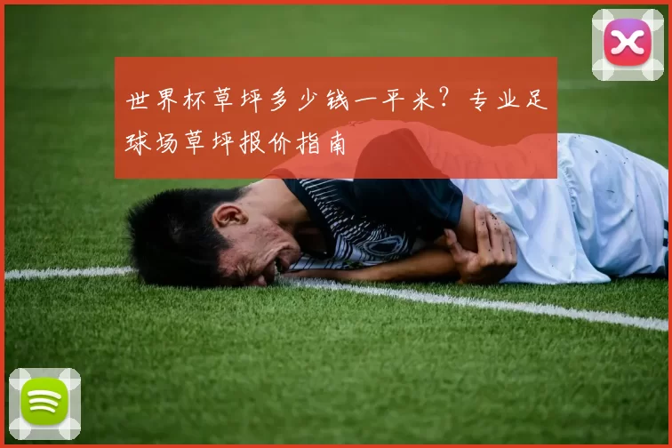 世界杯草坪多少钱一平米?专业足球场草坪报价指南