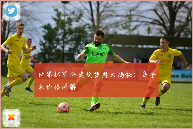 世界杯草坪建设费用大揭秘:每平米价格详解