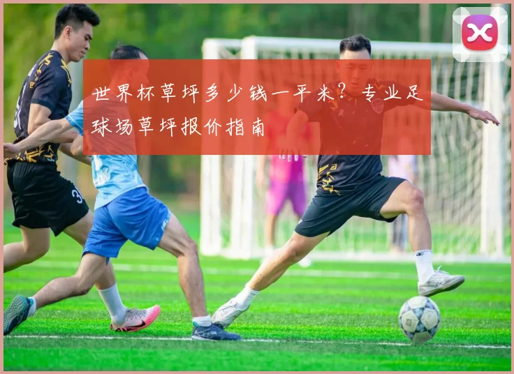 世界杯草坪多少钱一平米？专业足球场草坪报价指南