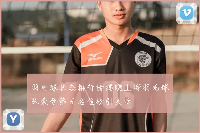 羽毛球状态排行榜揭晓上海羽毛球队荣登第五名佳绩引关注