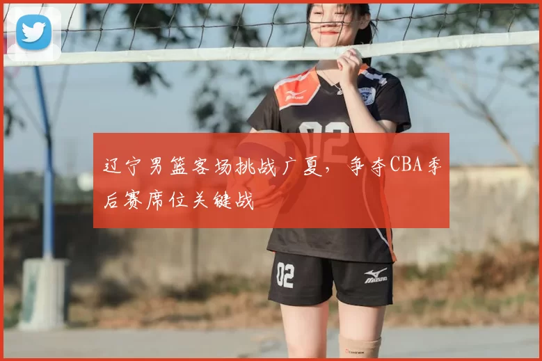 辽宁男篮客场挑战广夏，争夺CBA季后赛席位关键战