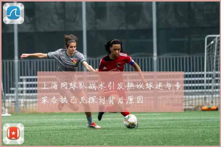 上海网球队战术引发热议球迷与专家各执己见探讨背后原因