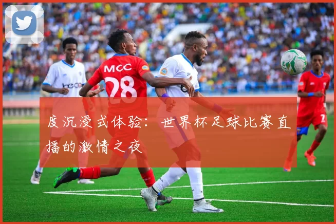 度沉浸式体验:世界杯足球比赛直播的激情之夜