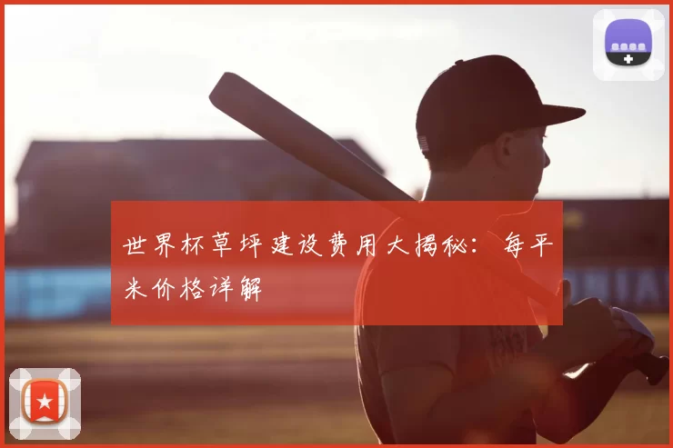 世界杯草坪建设费用大揭秘：每平米价格详解