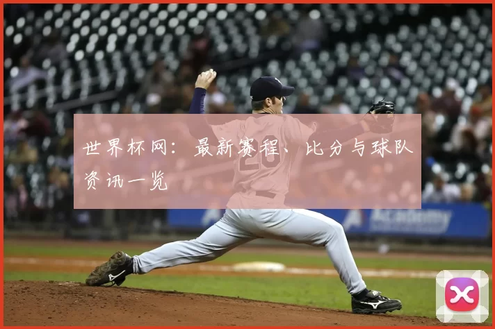 世界杯网:最新赛程、比分与球队资讯一览